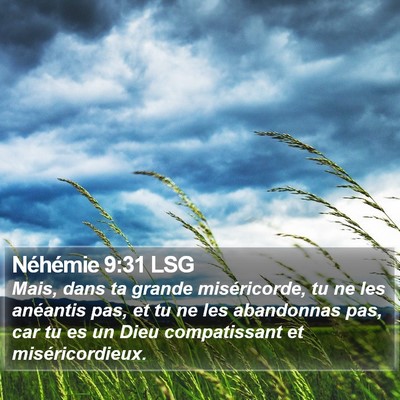 Néhémie 9:31 LSG Bible Verse Image