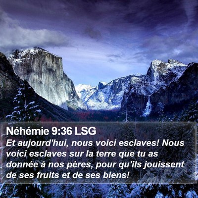 Néhémie 9:36 LSG Bible Verse Image