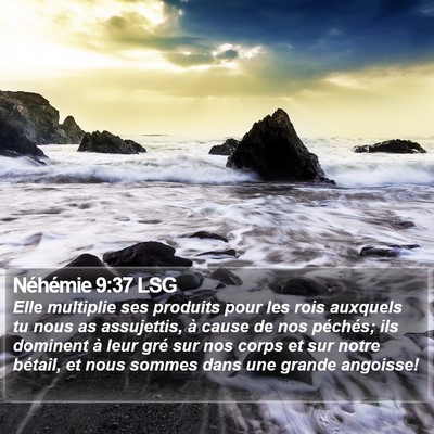 Néhémie 9:37 LSG Bible Verse Image