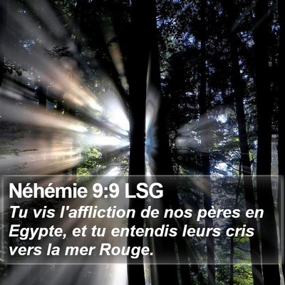 Néhémie 9:9 LSG Bible Verse Image