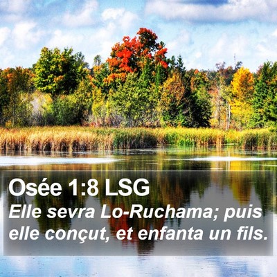 Osée 1:8 LSG Bible Verse Image