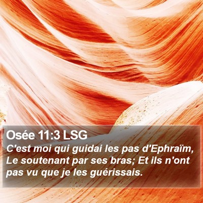 Osée 11:3 LSG Bible Verse Image