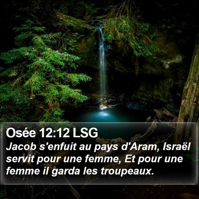 Osée 12:12 LSG Bible Verse Image