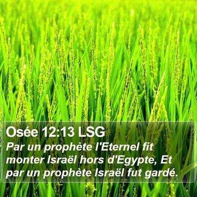 Osée 12:13 LSG Bible Verse Image