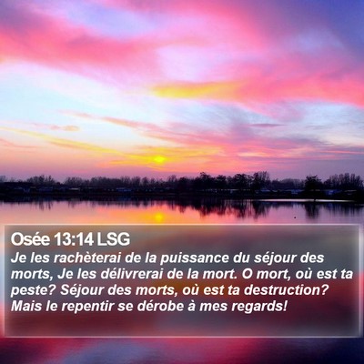 Osée 13:14 LSG Bible Verse Image