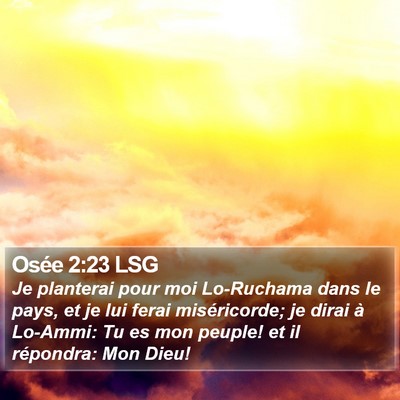 Osée 2:23 LSG Bible Verse Image