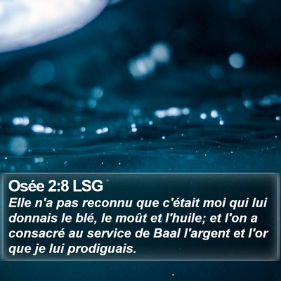 Osée 2:8 LSG Bible Verse Image