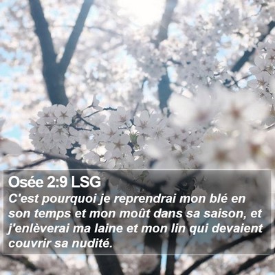 Osée 2:9 LSG Bible Verse Image