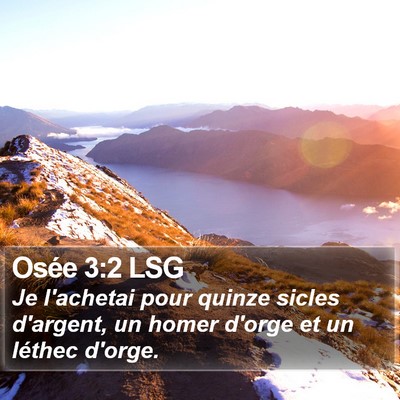 Osée 3:2 LSG Bible Verse Image