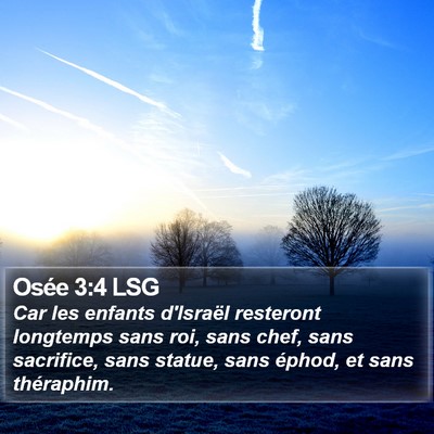 Osée 3:4 LSG Bible Verse Image