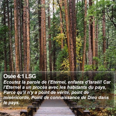 Osée 4:1 LSG Bible Verse Image