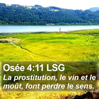 Osée 4:11 LSG Bible Verse Image