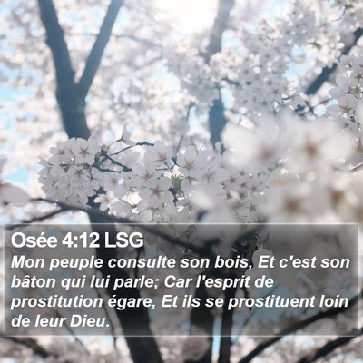 Osée 4:12 LSG Bible Verse Image