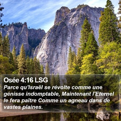 Osée 4:16 LSG Bible Verse Image