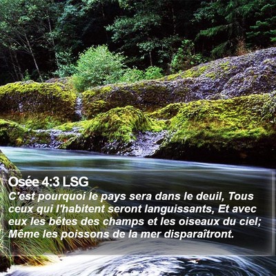 Osée 4:3 LSG Bible Verse Image