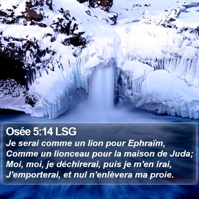 Osée 5:14 LSG Bible Verse Image