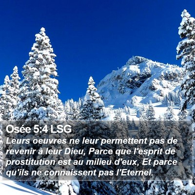 Osée 5:4 LSG Bible Verse Image