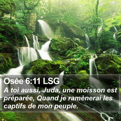 Osée 6:11 LSG Bible Verse Image