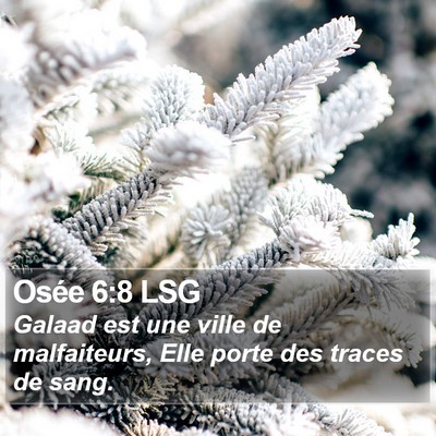 Osée 6:8 LSG Bible Verse Image
