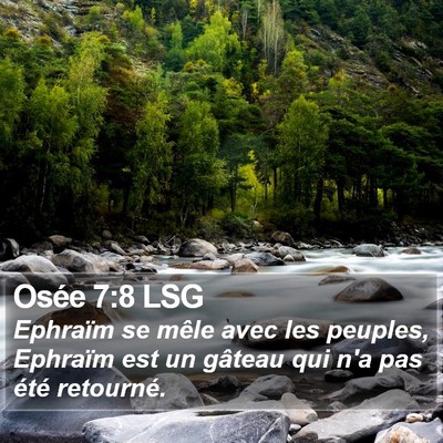 Osée 7:8 LSG Bible Verse Image
