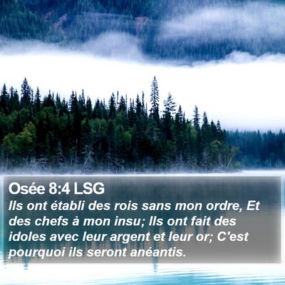Osée 8:4 LSG Bible Verse Image