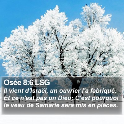 Osée 8:6 LSG Bible Verse Image