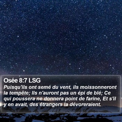 Osée 8:7 LSG Bible Verse Image