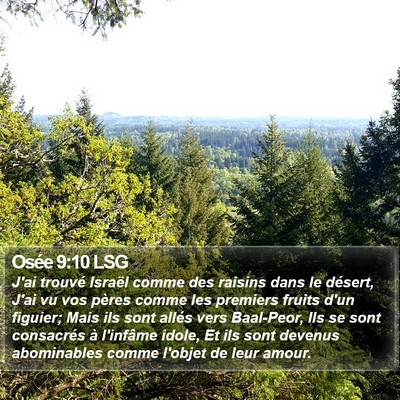 Osée 9:10 LSG Bible Verse Image