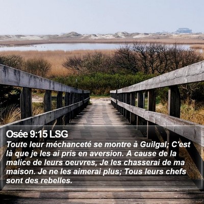 Osée 9:15 LSG Bible Verse Image