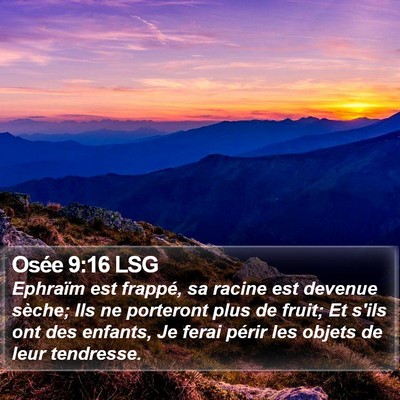 Osée 9:16 LSG Bible Verse Image