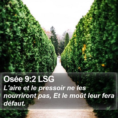 Osée 9:2 LSG Bible Verse Image