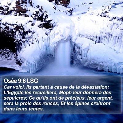 Osée 9:6 LSG Bible Verse Image