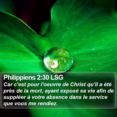 Philippiens 2:30 LSG Bible Verse Image