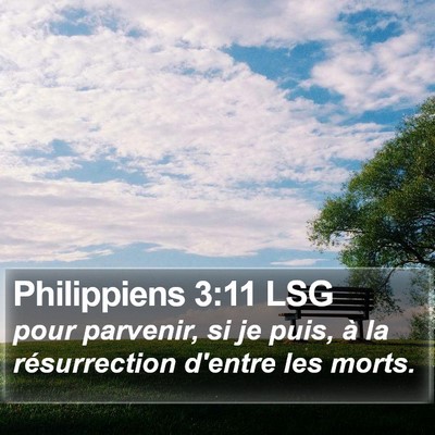 Philippiens 3:11 LSG Bible Verse Image