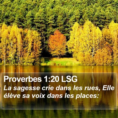 Proverbes 1:20 LSG Bible Verse Image