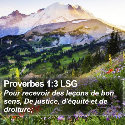 Proverbes 1:3 LSG Bible Verse Image
