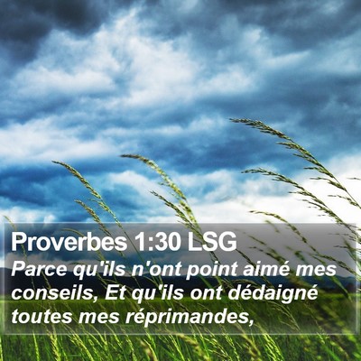 Proverbes 1:30 LSG Bible Verse Image