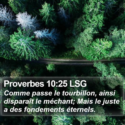 Proverbes 10:25 LSG Bible Verse Image