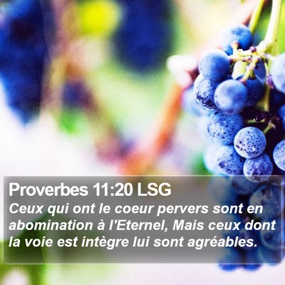 Proverbes 11:20 LSG Bible Verse Image