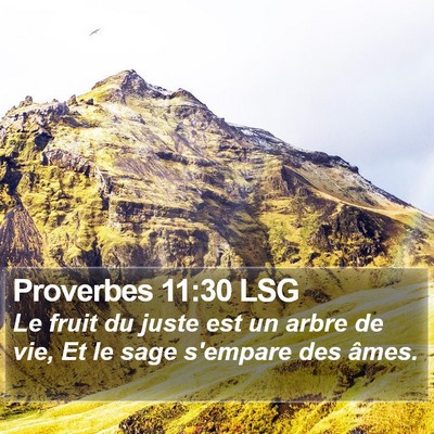 Proverbes 11:30 LSG Bible Verse Image