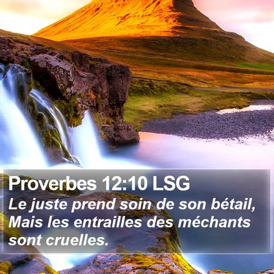 Proverbes 12:10 LSG Bible Verse Image