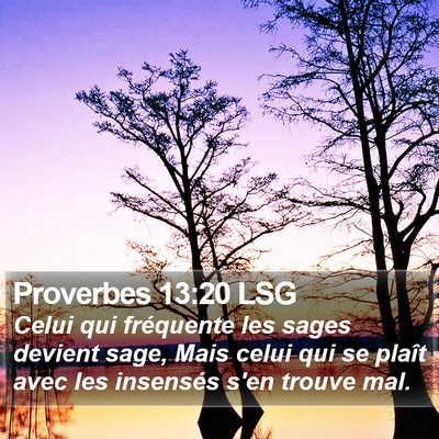 Proverbes 13:20 LSG Bible Verse Image