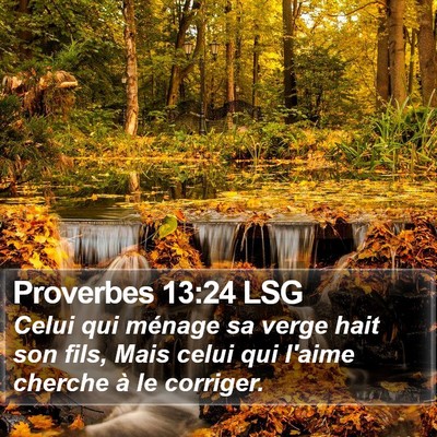 Proverbes 13:24 LSG Bible Verse Image