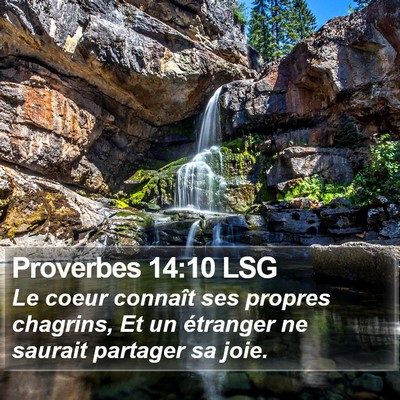 Proverbes 14:10 LSG Bible Verse Image