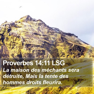 Proverbes 14:11 LSG Bible Verse Image