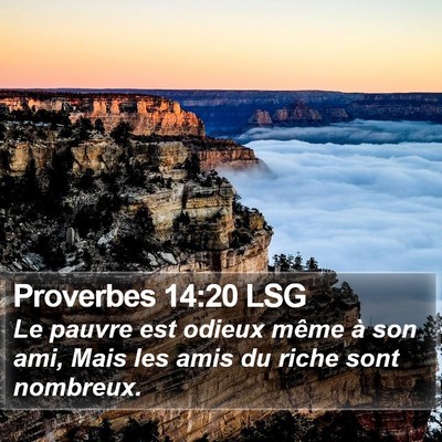 Proverbes 14:20 LSG Bible Verse Image