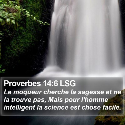 Proverbes 14:6 LSG Bible Verse Image