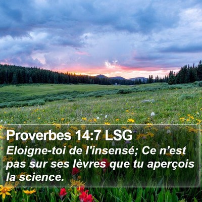 Proverbes 14:7 LSG Bible Verse Image