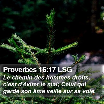 Proverbes 16:17 LSG Bible Verse Image