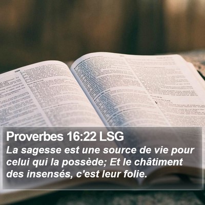 Proverbes 16:22 LSG Bible Verse Image